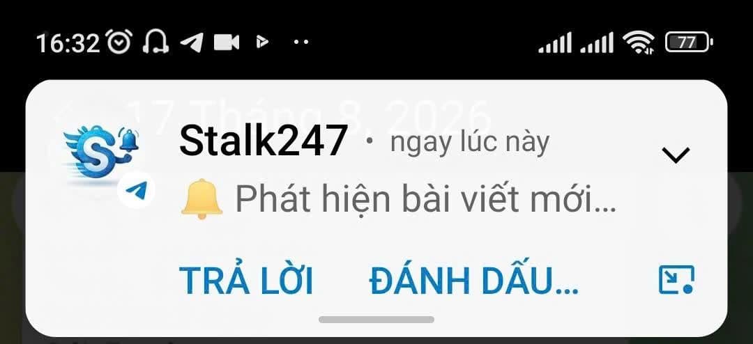 Thông báo phát hiện bài viết mới từ Stalk247 Bot trên điện thoại